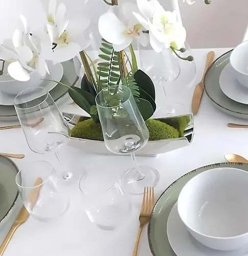 Ludwigshafen-bahnhofsresidenz Appartement *